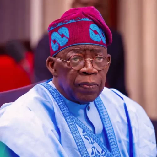 Tinubu makes another ambassadorial appointment