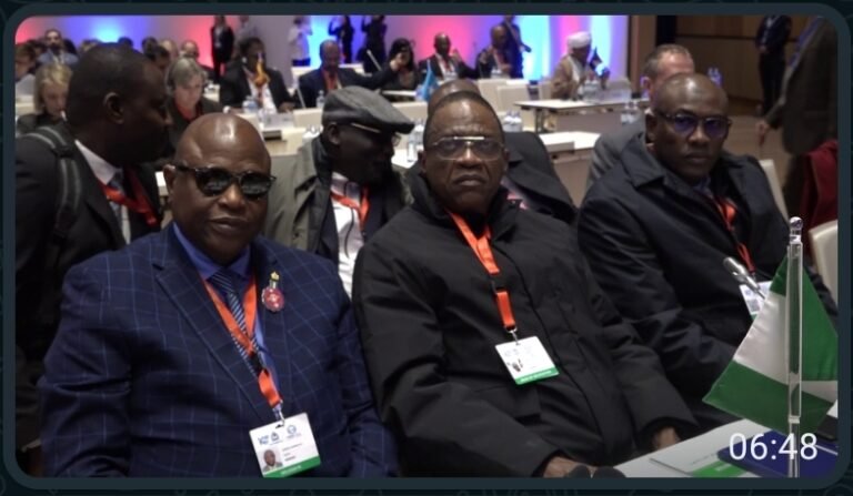 We Will Fight Crime and Terrorism, Gaidam Tells INTERPOL